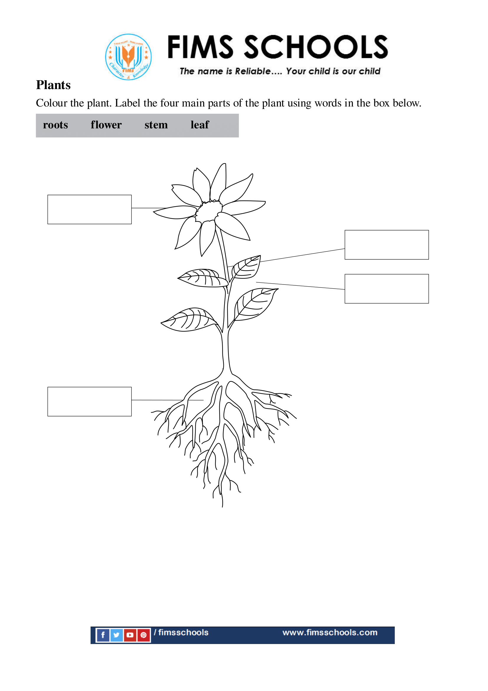 plants worksheets
