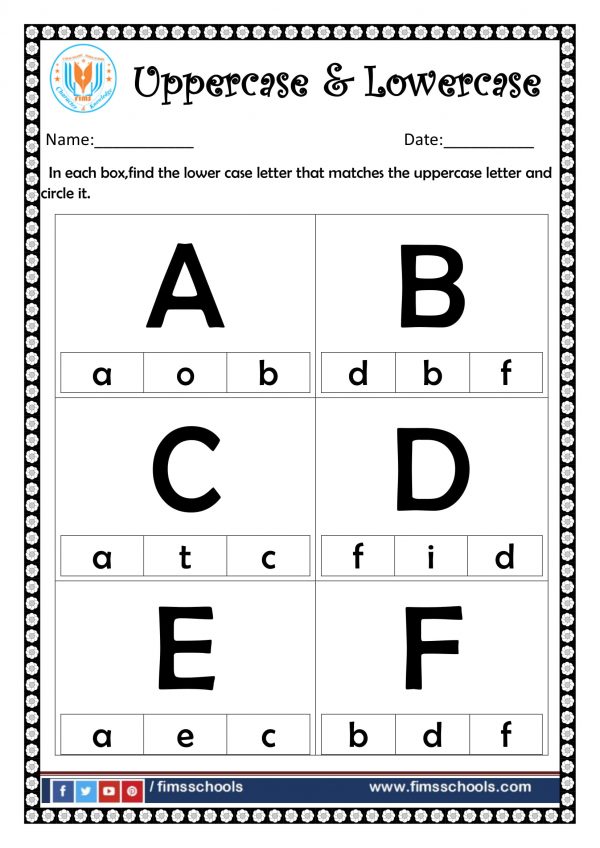 parts of a plant worksheets